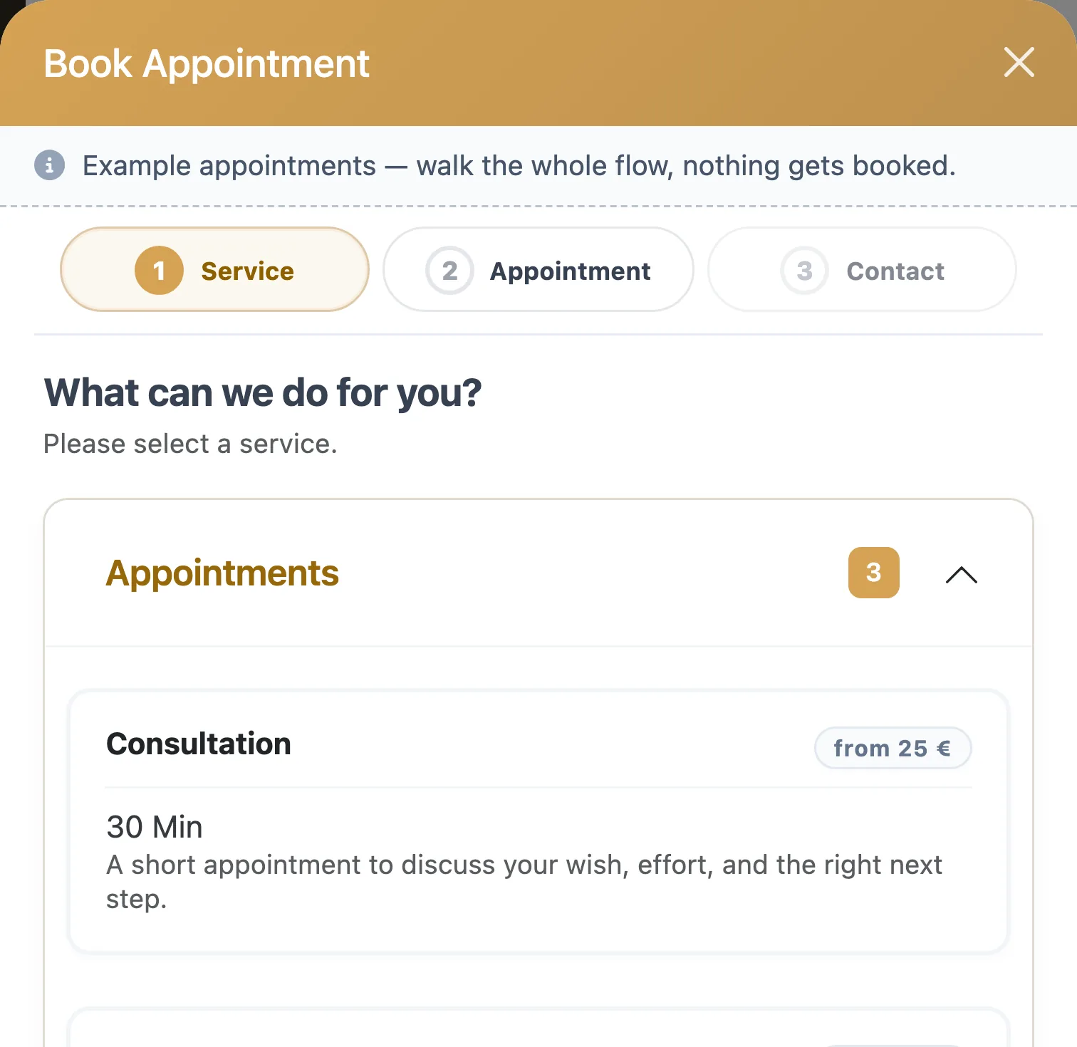The Salon Wizard booking window in the demo salon: step one, choose a service, then a time, then contact details