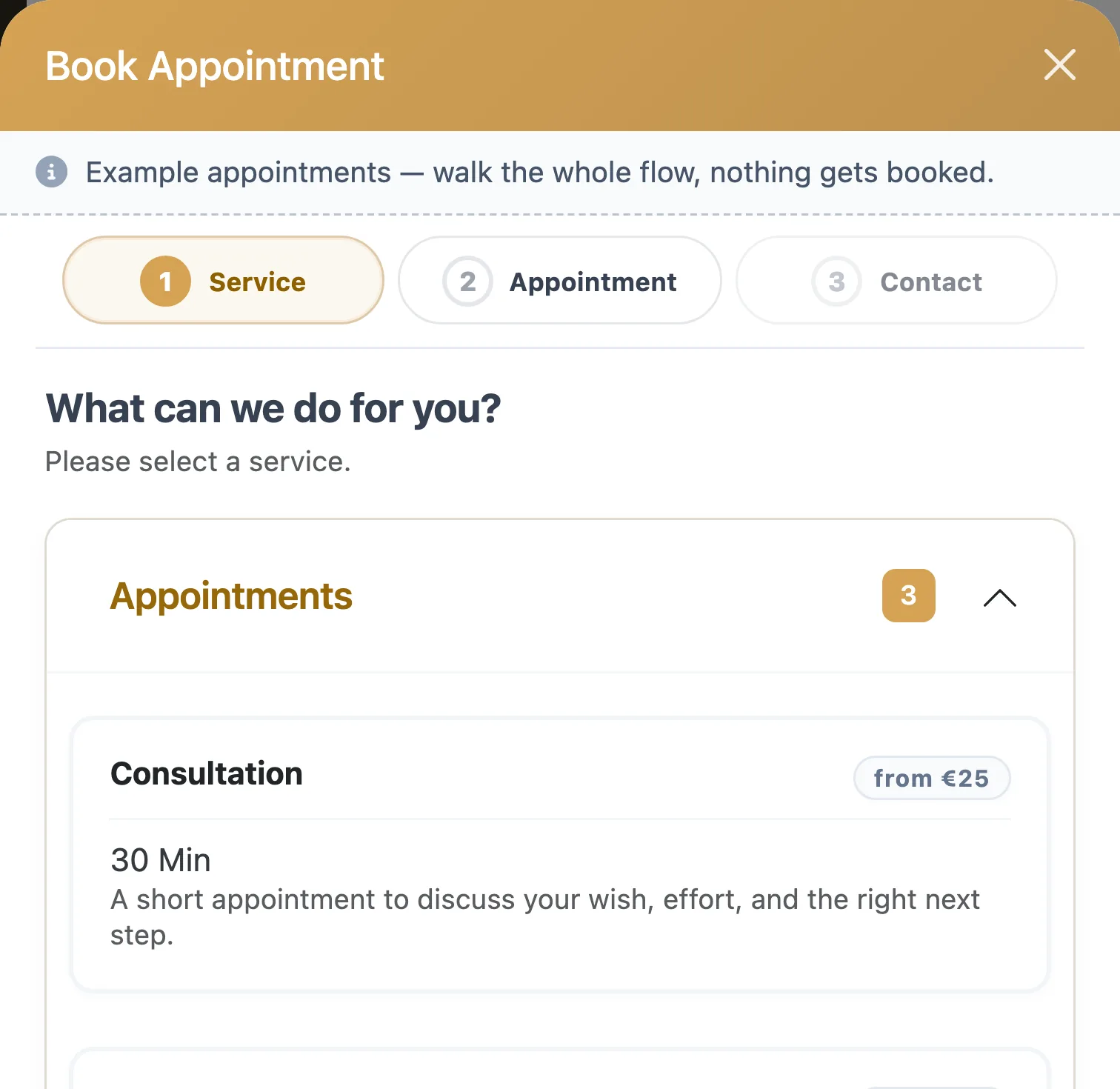 Booking window with the steps service, time and contact