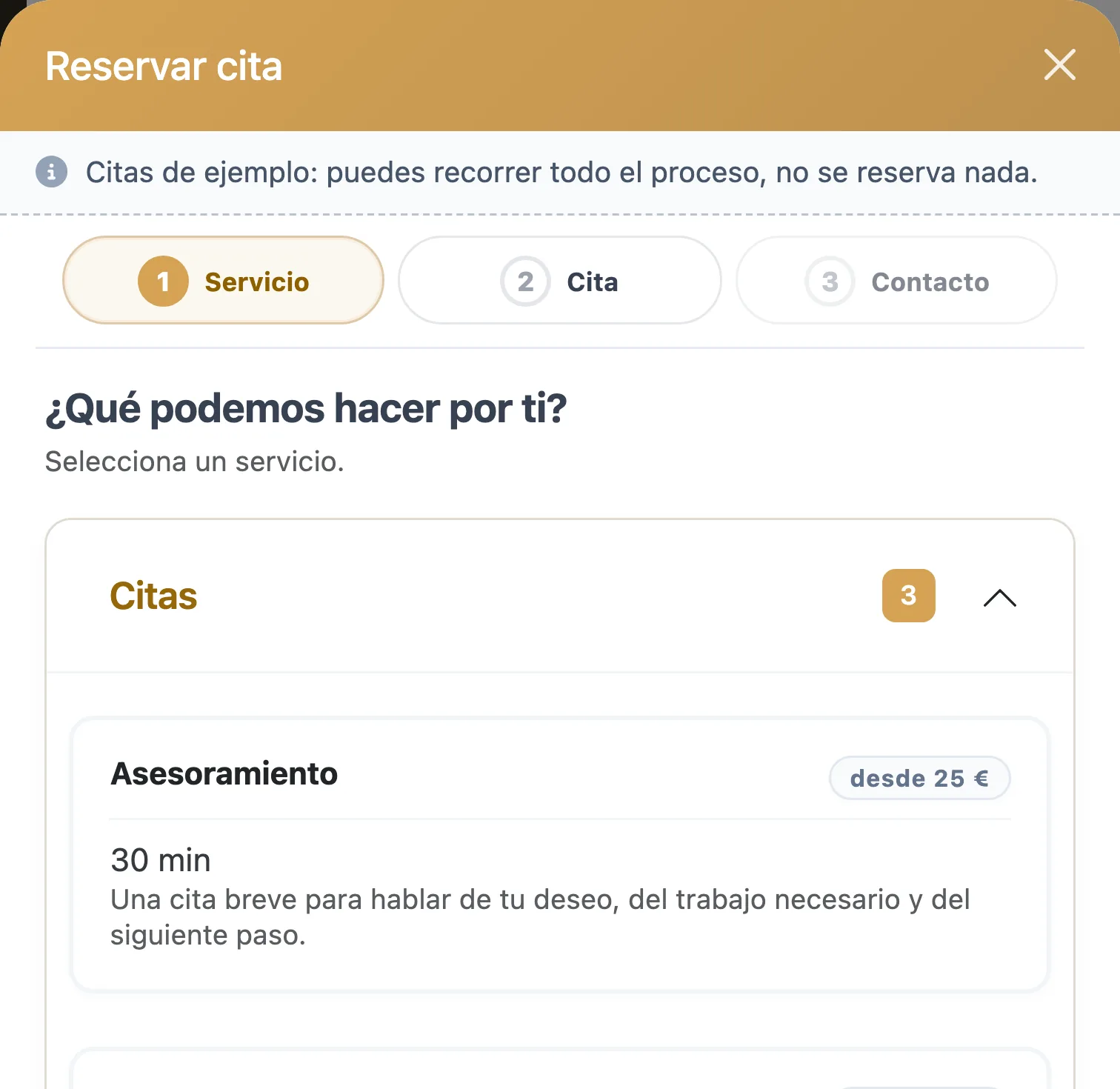 La ventana de reserva de Salon Wizard en el salón de demostración: primero se elige el servicio, después la hora y por último los datos de contacto