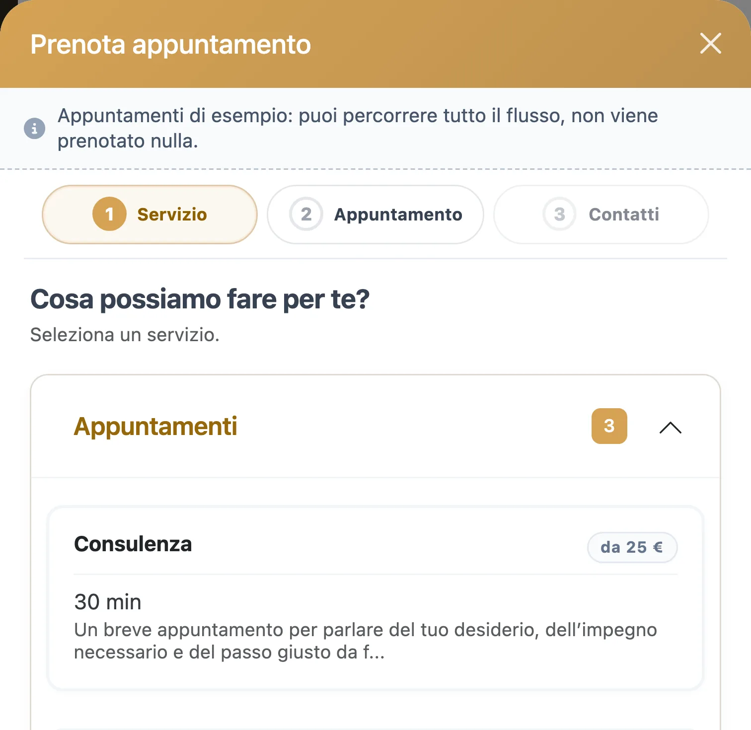 La finestra di prenotazione di Salon Wizard nel salone dimostrativo: prima si sceglie il servizio, poi l'orario, poi si inseriscono i recapiti