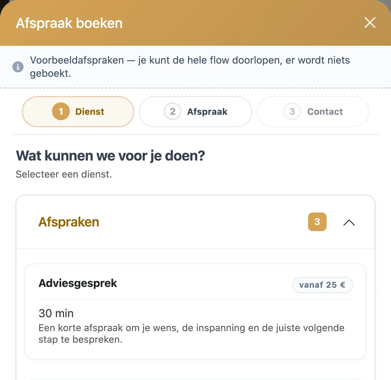 Het boekingsvenster van Salon Wizard in de demosalon: eerst een dienst kiezen, dan een tijdstip, dan de contactgegevens