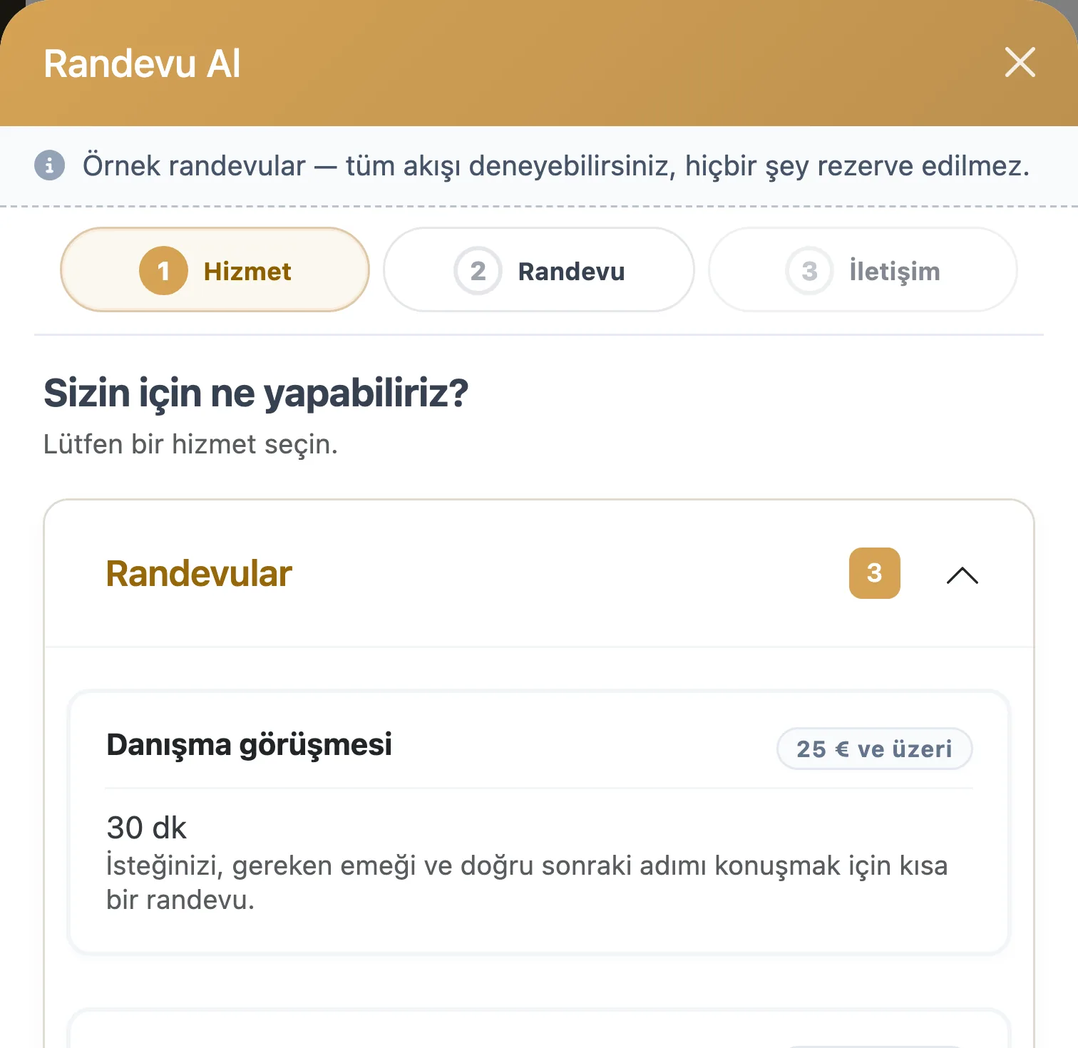 Demo salonda Salon Wizard randevu penceresi: önce hizmet, ardından saat seçilir, sonra iletişim bilgileri girilir